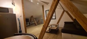 Appartement en Duplex 3 pièces Petite France à Strasbourg rue du Bain aux Plantes - salon