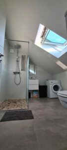 Appartement en Duplex 3 pièces Petite France à Strasbourg rue du Bain aux Plantes - salle d'eau