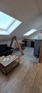 Appartement en Duplex 3 pièces Petite France à Strasbourg rue du Bain aux Plantes - salon cuisine